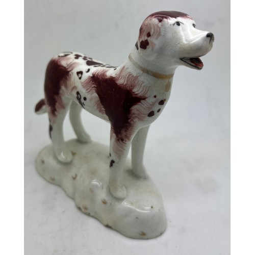 216 - A Staffordshire figure in the style of Rockingham, of a standing dog with open mouth and red tongue.... 