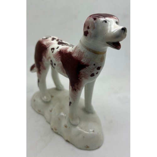 216 - A Staffordshire figure in the style of Rockingham, of a standing dog with open mouth and red tongue.... 