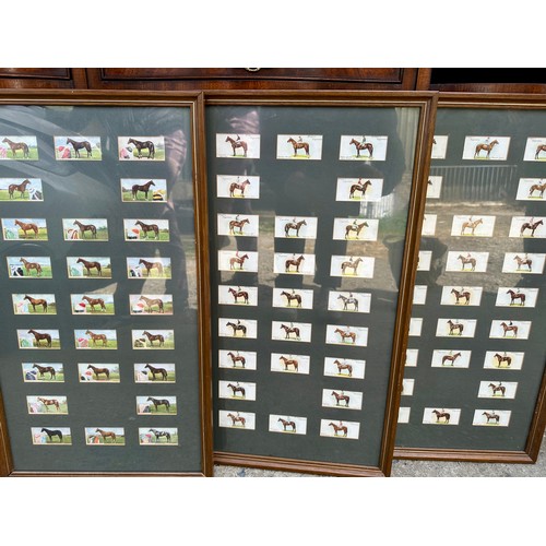 1313 - A large quantity of framed mainly Wills cigarette cards. (17) to include horses, butterflies, cricke... 