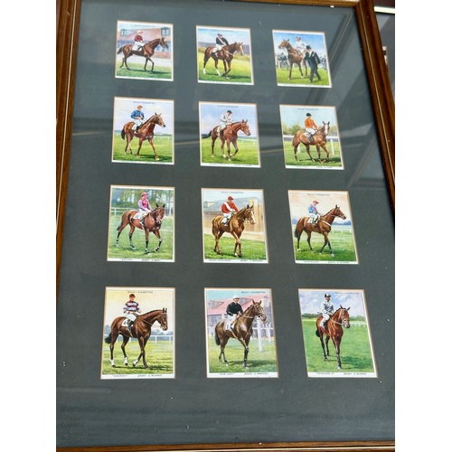 1313 - A large quantity of framed mainly Wills cigarette cards. (17) to include horses, butterflies, cricke... 