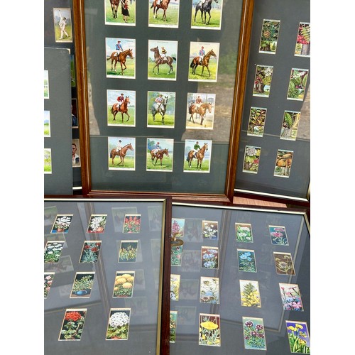 1313 - A large quantity of framed mainly Wills cigarette cards. (17) to include horses, butterflies, cricke... 