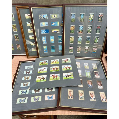 1313 - A large quantity of framed mainly Wills cigarette cards. (17) to include horses, butterflies, cricke... 