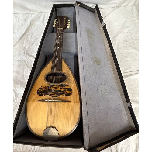 982 - An early 20thC Mandolin by Carlo Ricordo Naplois No. 1008 with original case.