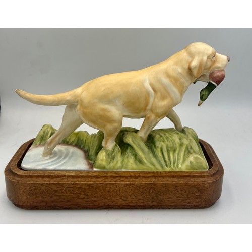 115 - A Royal Worcester figure, ‘Yellow Labrador’ one of a series of sporting dogs by Doris Lindner on woo... 