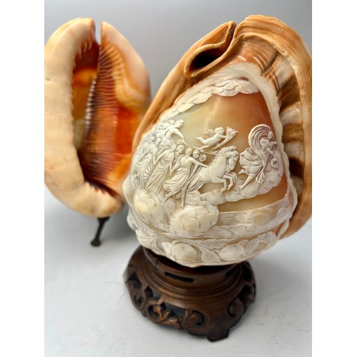 1405 - Two carved shell cameo lamps. One with classical scene, the other Pompei casa diolconio. Shells 15cm... 