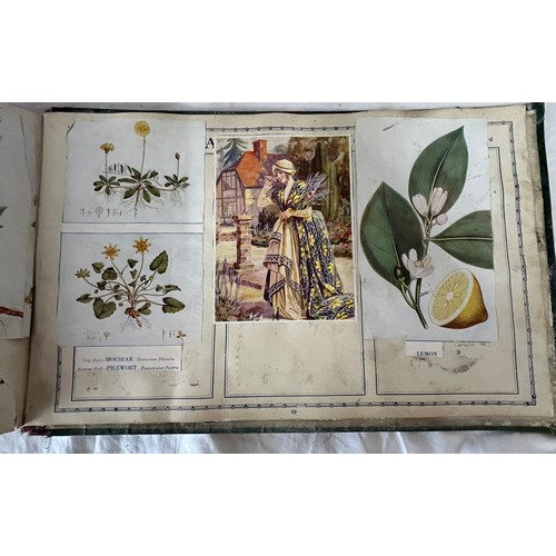 1407 - An Album of 100 Edwardian postcards, an Edwardian Scrap Book (38) pages, Virtue's Household Physicia... 