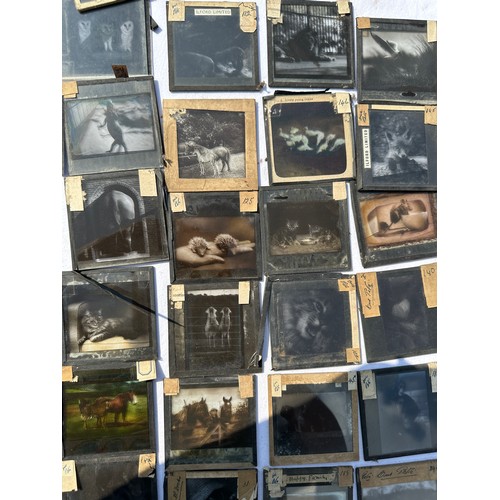 999 - A large quantity of approx. 600 magic lantern slides to include religious (at least 50%), Palestine,... 