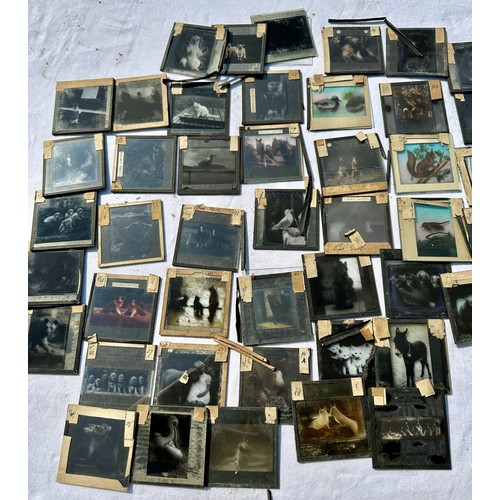 999 - A large quantity of approx. 600 magic lantern slides to include religious (at least 50%), Palestine,... 