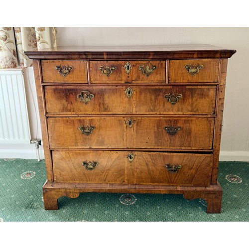 91 - A walnut chest of three short over three long drawers on bracket feet. 99cm w x 53 cm d x 89 cm h.