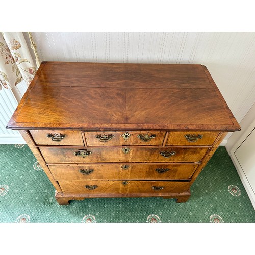 91 - A walnut chest of three short over three long drawers on bracket feet. 99cm w x 53 cm d x 89 cm h.