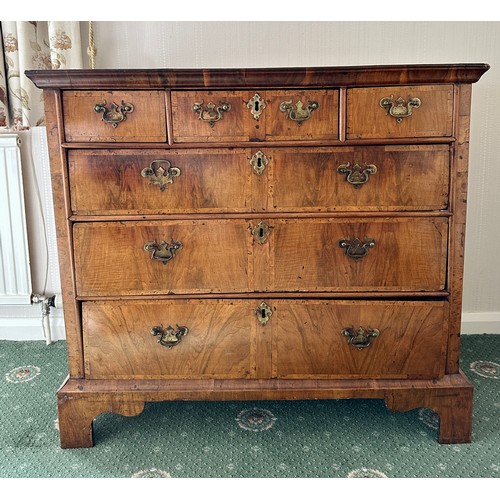 91 - A walnut chest of three short over three long drawers on bracket feet. 99cm w x 53 cm d x 89 cm h.