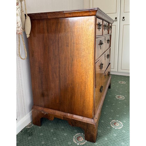 91 - A walnut chest of three short over three long drawers on bracket feet. 99cm w x 53 cm d x 89 cm h.