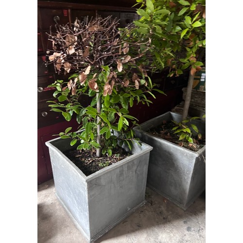 5 - Two good quality faux lead garden planters. Each 54 x 54 x 52cm h.