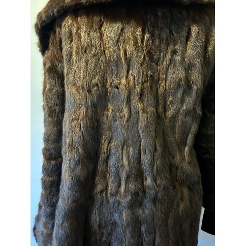 962 - A ladies vintage fur coat with wide collar. Back of collar to hem 88cm, armpit to armpit 56cm.