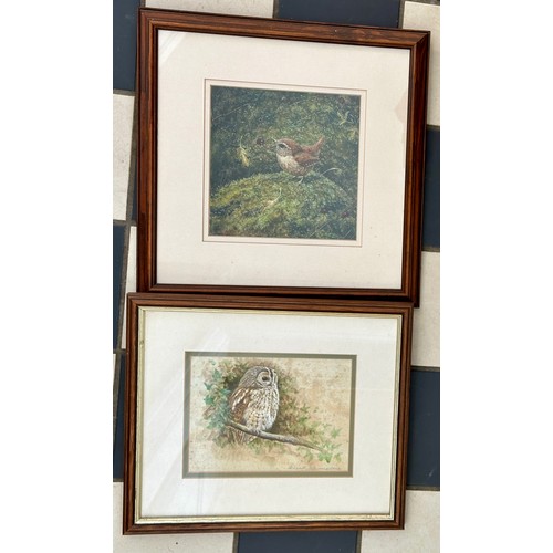 1489 - Richard Whittlestone, (b.1963 -) Two watercolour/gouache paintings, a study of a Tawny Owl, image 14... 