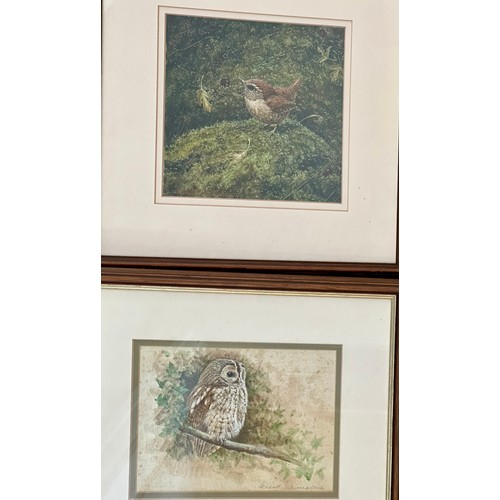 1489 - Richard Whittlestone, (b.1963 -) Two watercolour/gouache paintings, a study of a Tawny Owl, image 14... 