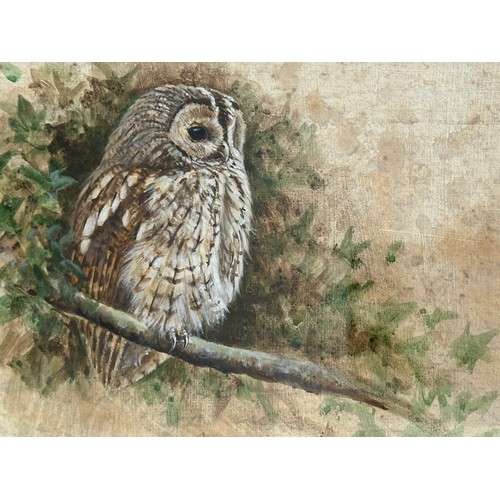 1489 - Richard Whittlestone, (b.1963 -) Two watercolour/gouache paintings, a study of a Tawny Owl, image 14... 