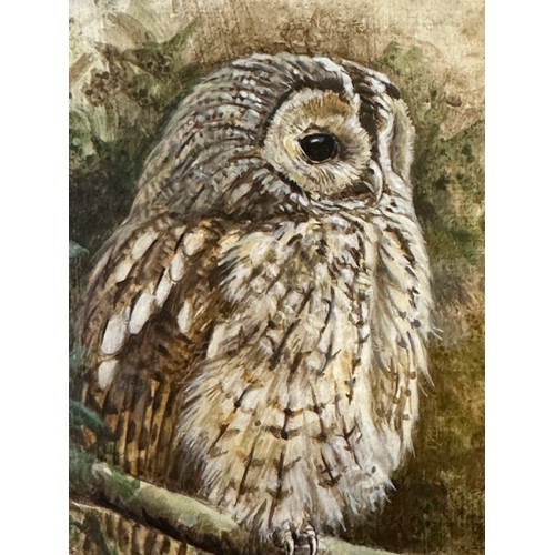 1489 - Richard Whittlestone, (b.1963 -) Two watercolour/gouache paintings, a study of a Tawny Owl, image 14... 