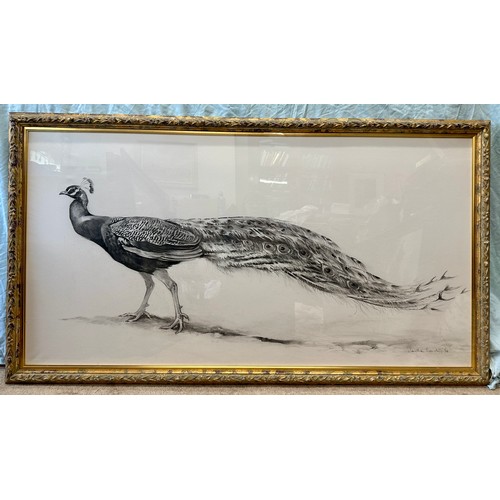 1504 - Jonathan SAINSBURY (1951) A charcoal drawing of a peacock. Signed L.R. 94 in glazed frame. Sight siz... 