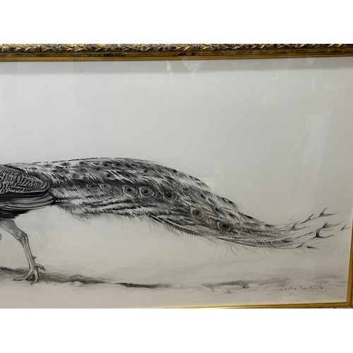 1504 - Jonathan SAINSBURY (1951) A charcoal drawing of a peacock. Signed L.R. 94 in glazed frame. Sight siz... 