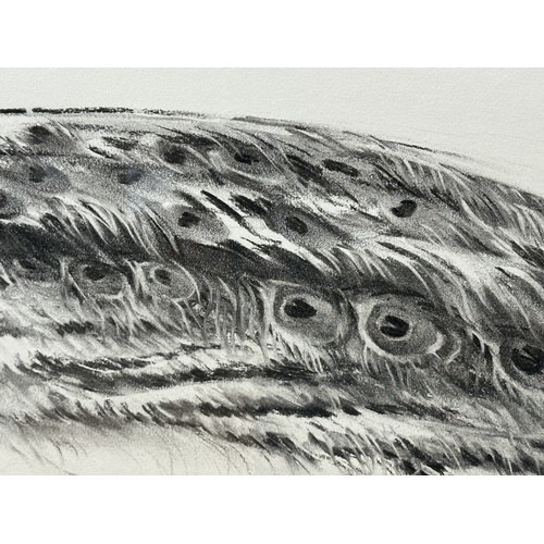 1504 - Jonathan SAINSBURY (1951) A charcoal drawing of a peacock. Signed L.R. 94 in glazed frame. Sight siz... 