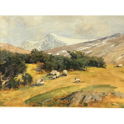 1541 - Alfred Heaton Cooper (British 1863-1929) landscape watercolour of snow capped mountains and sheep. S... 