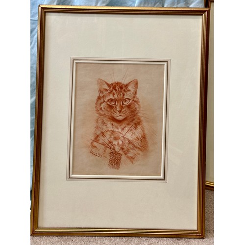 1536 - Louis WAIN (1860 - 1939) 'Cat Knitting' in red chalk, signed L.L. Sight size 29 x 2.5cm.