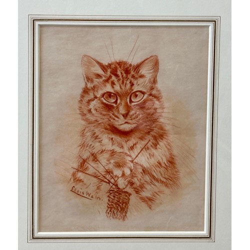 1536 - Louis WAIN (1860 - 1939) 'Cat Knitting' in red chalk, signed L.L. Sight size 29 x 2.5cm.