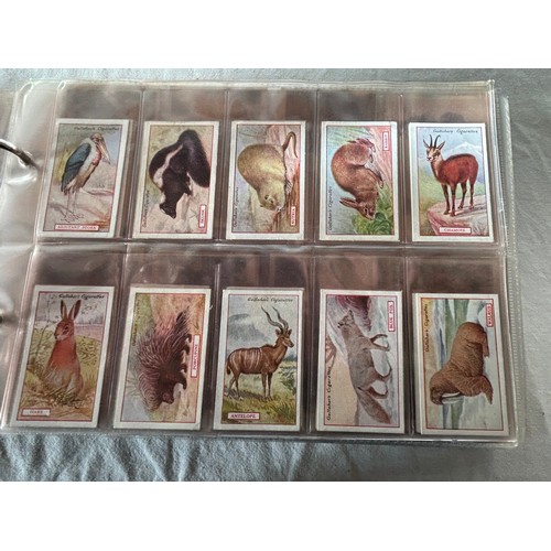 1003 - A large collection of Cigarette cards in 7 x albums the majority complete sets including Cavanders, ... 