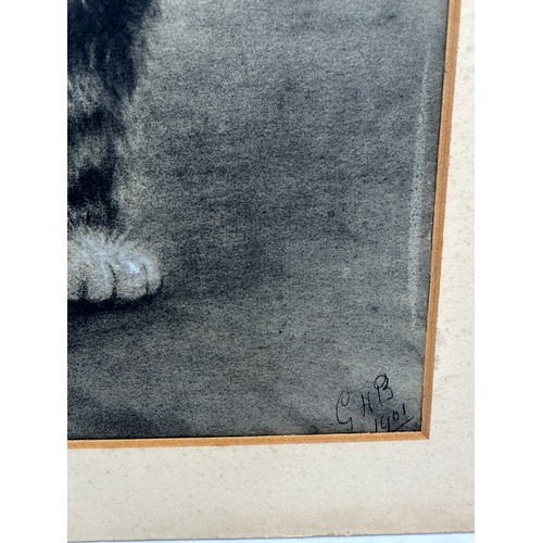 1483 - An early 20thC pastel of a kitten signed lower right GHB dated 1901, possibly George H. Bursell. Ima... 