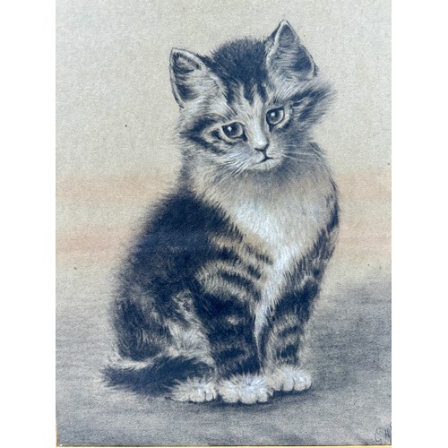 1483 - An early 20thC pastel of a kitten signed lower right GHB dated 1901, possibly George H. Bursell. Ima... 