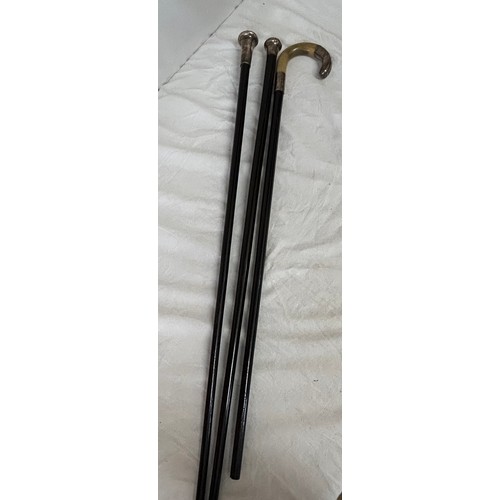 1167 - Two hallmarked silver topped ebonised walking canes and a horn handled walking stick with hallmarked... 