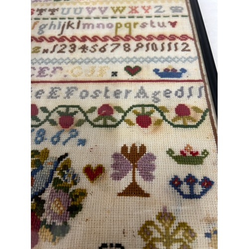 866 - A framed sampler by Charlotte E Foster Aged 11 1869, frame 42 x 31cm.