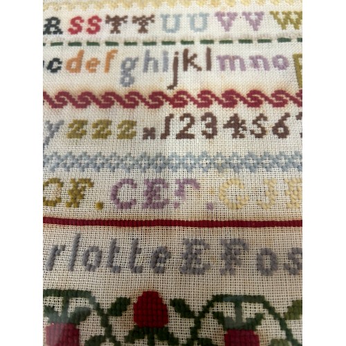 866 - A framed sampler by Charlotte E Foster Aged 11 1869, frame 42 x 31cm.