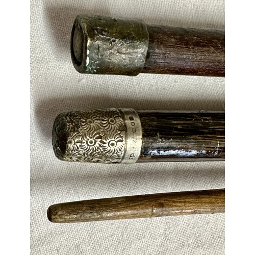 1176 - A coromandel and hallmarked silver walking cane with inscription 1892 Warrington to top, marks indis... 