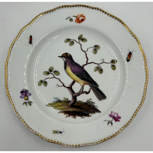 407 - Two 19thC hand painted Meissen plates depicting images of birds and insects measuring 24cm, cross sw... 