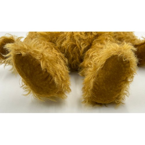 1114 - A vintage Mohair Growling Teddy with movable head, joints, velvet feet, stitched nose and black glas... 