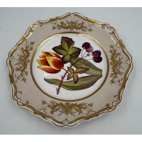 189 - A group of early 19th century mainly Spode hand-painted porcelain floral design plates, c. 1820. 22 ... 