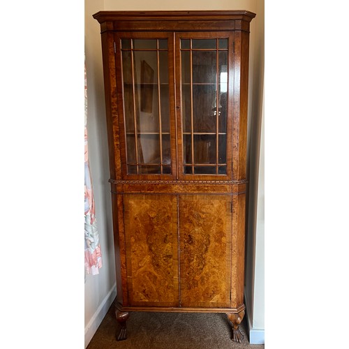 69 - A burr walnut double height corner cupboard, 2 glazed doors over 2 solid doors. 180 h x 79 w x 43cm ... 