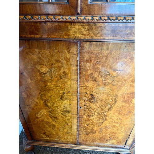 69 - A burr walnut double height corner cupboard, 2 glazed doors over 2 solid doors. 180 h x 79 w x 43cm ... 