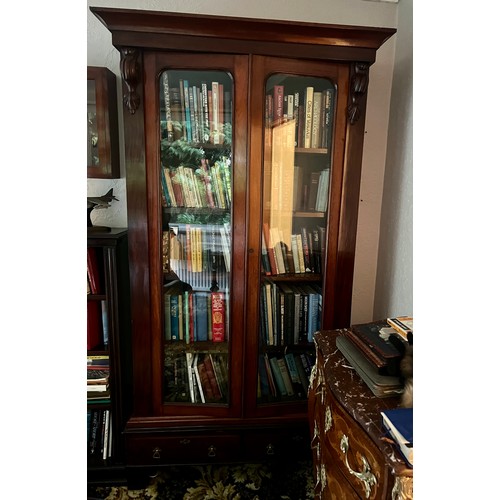 81 - A 19thC mahogany two door bookcase over two drawers. 204 h x 100 w x 29cm d.