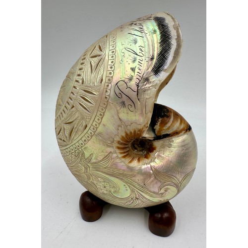 1250 - A carved and pierced 19thC nautilus shell inscribed 