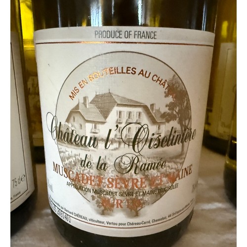 18 - Chateau L'Oiseliniere de La Ramee, Muscadet Sevre et Maines. 2005. 9 x 75cl. Together with  Olivier ... 