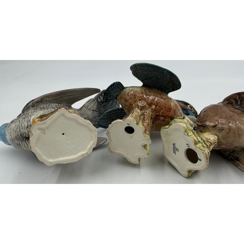 34 - A collection of Beswick birds to include Pheasant 849, Pigeon 1383, Cuckoo 2315, Jay 2417, Pair of G... 