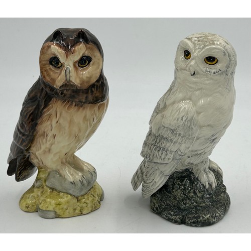 36 - Royal Doulton Whyte & Mackay Scotch Whisky decanters to include Buzzard & Kestrel, both sealed 200ml... 