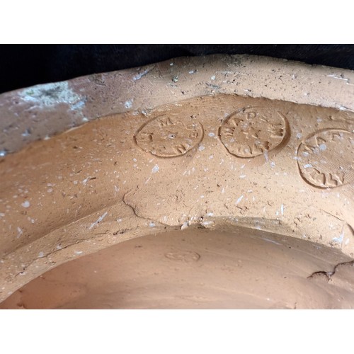 229 - A terracotta tiger 48cm h. Made in Italy.