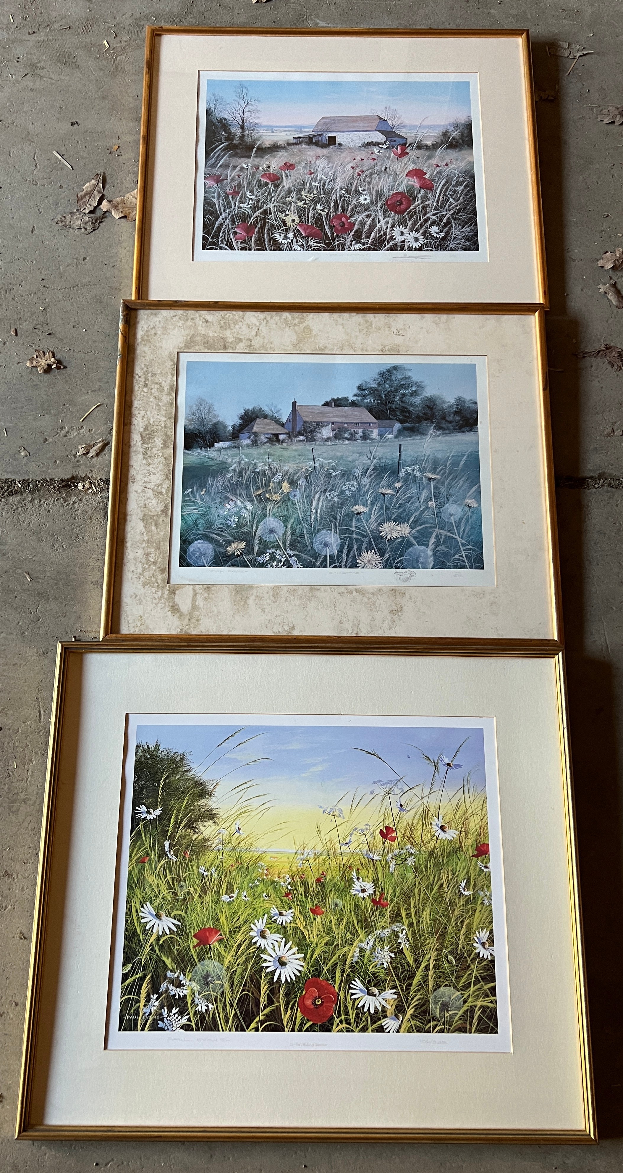 Three Paul Evans limited edition prints, largest 46cm x 56cm.