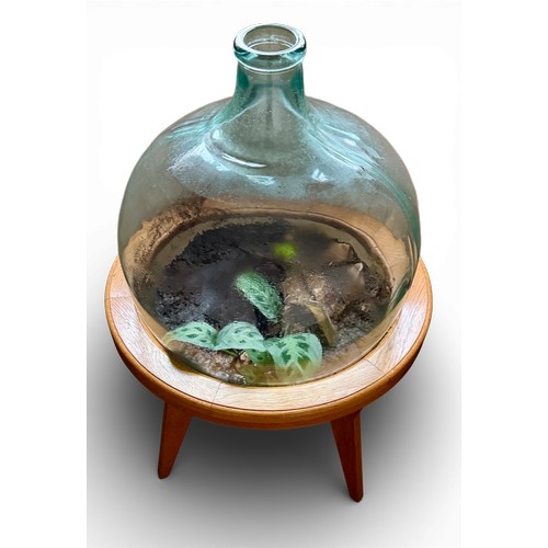 166 - Glass carboy in oak stand. 90cm h.