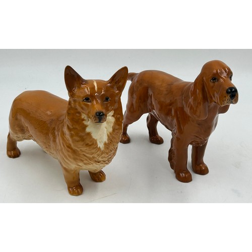 447 - A collection of Beswick dogs to include Pembroke Corgi, Cocker Spaniel, Springer Spaniel, German She... 