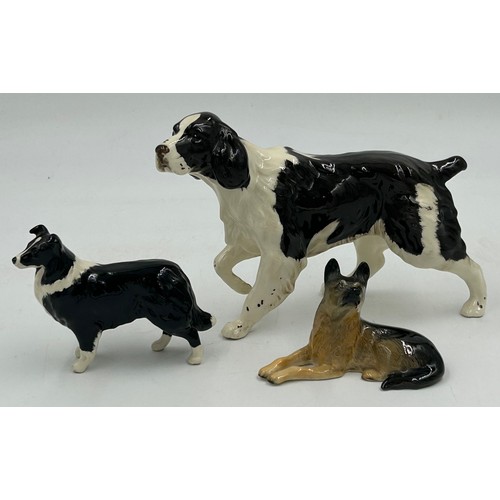 447 - A collection of Beswick dogs to include Pembroke Corgi, Cocker Spaniel, Springer Spaniel, German She... 